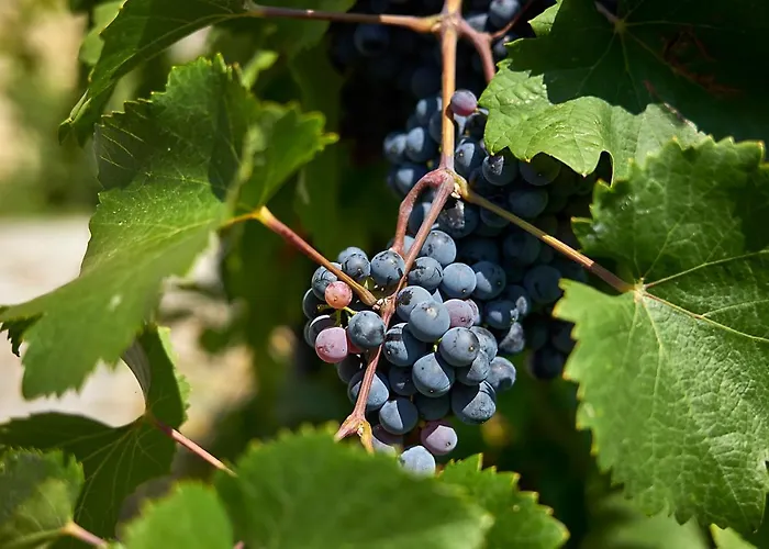 La Romantica מלון מלאדה בולסלאב